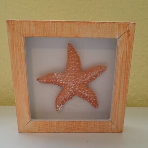 Framed Starfish Wall Art